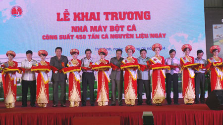 Khai trương Nh&agrave; m&aacute;y Chế biến bột c&aacute; Thụy Hải c&ocirc;ng suất 450 tấn c&aacute; nguy&ecirc;n liệu/ng&agrave;y

